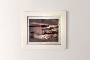 Photo 12- click for photo gallery